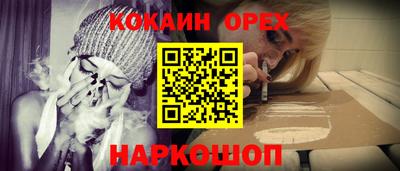 кокс Донской